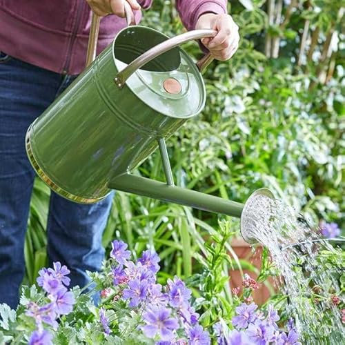 Garden Mile Regadera de metal verde salvia de 9 L para el jardín, todo el año, hecha de acero galvanizado resistente al óxido, regadera grande con asa y rosa desmontable