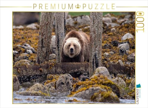 CALVENDO Puzzle Auf der Lauer | 1000 Teile Lege-Größe 64 x 48 cm Foto-Puzzle für glückliche Stunden