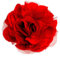 maDDma ® Rose Haarspange Sicherheitsnadel Brosche, Ø9cm, Rot, Geblümt, 1 Stück, 10 cm, Frauen, Frauen, Haaraccessoires, Dekoration, Romantisch, Haarklammer