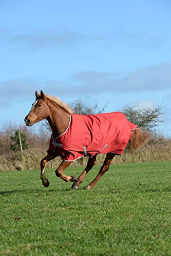 Bucas Freedom Turnout 300 Outdoor Decke braun, Kin18_19_Gr.:5'6/125