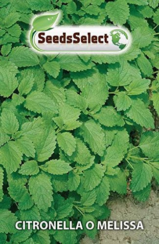 Semi Citronella o Melissa, 10 Grammi