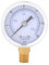 ANKROYU TS-Y50I Manometer, 0-30 psi / 0-2 bar, 1/8 BSPT Anschluss, 40mm Druckmesser, Messing Druckanzeiger für Flüssigkeits- oder Gasdruck
