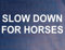 Car Sticker Slow Down for Horses Fun Cute Novelty Van Window Bumper Boot Door Decal Present