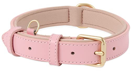 HEELE Collier pour Chien, en Cuir, Collier de Chien Ajustable Coussin Moelleux Cuir Nouvelle Couleur de Rembourrage pour Petits, Moyens ou Grands Chiens, Rose, M