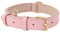 HEELE Collier pour Chien, en Cuir, Collier de Chien Ajustable Coussin Moelleux Cuir Nouvelle Couleur de Rembourrage pour Petits, Moyens ou Grands Chiens, Rose, M