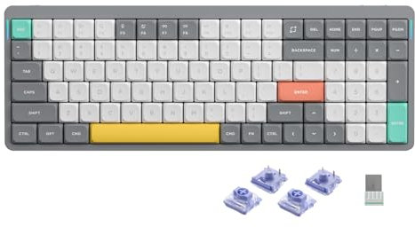 nuphy Air96 V2 Mechanische Tastatur Kabellos mit niedrigem Profil,100 Tasten RGB Hot-Swap Tastatur unterstützt 2.4GHz Wireless/Bluetooth/USB-C für PC/Laptop/Windows/Mac-Grey Gateron Wisteria Switch