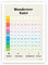 byGraziela Lernposter Hunderter Tafel/Bunt