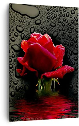 Quadro su Tela Verticale Fiore rosa rossa acqua rugiada Stampe da Parete 80x120cm Quadri Moderni Soggiorno Camera da Letto 1 pezzo Grandi Decorazione Murale Wall Art Canvas Immagini PA80x120-2367