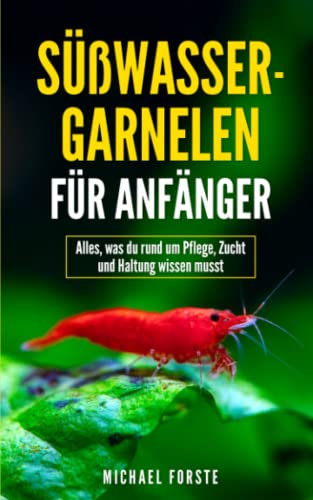 Süßwasser-Garnelen für Anfänger: Alles, was du rund um Pflege, Zucht und Haltung wissen musst