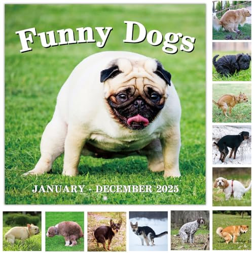 Coboll Gag Gifts – Weißer Elefanten-Gag-Geschenkkalender 2024, Pooping Dogs Kalender 2024 von Januar bis Dezember, 30 x 30 cm, Gag Geschenk 2024 Kalender, lustige Gag-Geschenke für weißen Elefanten