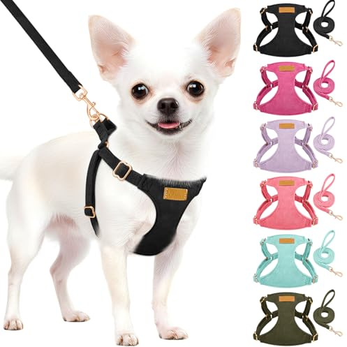 Eyein Hundegeschirr Kleine Hunde mit Leine, Leichtgewicht | Atmungsaktiv Anti Zug Welpengeschirr, Verstellbarer Step-in Geschirr für extra kleine/kleine mittelgroße Hunde (Schwarz, XS)