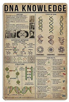 DNA Knowledge Metallblechschild Knowledge Poster Metallwandschild Vintage Wandkunst Dekor Kunstwerk Druck Geschenk für Zuhause Shop Büro Garten Garage Bar Outdoor 30,5 x 20,3 cm
