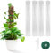 24 In Tuteur Plante Grimpante Intérieur, Poteau Tuteur Plante En Pot, Tuteurs Pour Plantes D'Intérieur En Plastique, Poteau Extensible Plante Grimpante Tuteur Mousse De Sphaigne Pour Maison Jardin (4)