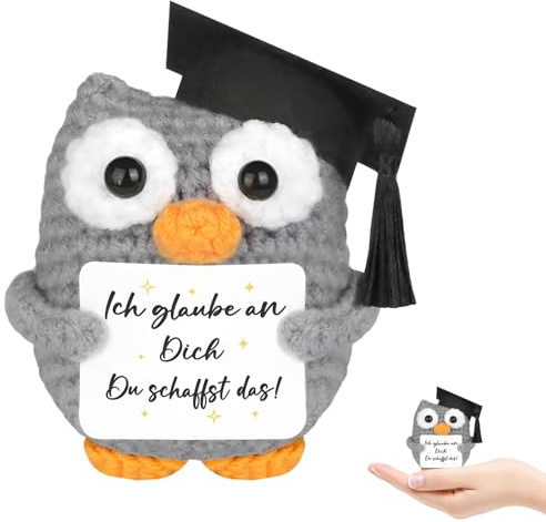 Amuleto de la suerte examen – búho tejido a mano como regalo para estudiantes, estudiantes y graduados, perfecto para exámenes de licenciatura y maestría (7 x 5 x 9 cm)