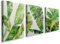 Green Ferns Wall Art Prints - Set of 3 Abstract Tropical Plant Decor Living Room Bedroom Bathroom Poster Home Decor Green Leaves Plants