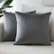 Sungeek 2er Set Samt Kissenbezüge, Dekorativ Zierkissenbezüge Weich Kissenbezug Dekokissen Sofakissen Couchkissen Deko Bezug Kissenhülle für Sofa Schlafzimmer Wohnzimmer (40x40 cm, Dunkelgrau)