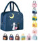 WYSUMMER Borsa termica per il pranzo, da donna, in cartone, isolata, impermeabile, organizer per il pranzo, per bambini e studenti, viaggi, picnic, scuola (Gatto Navy)