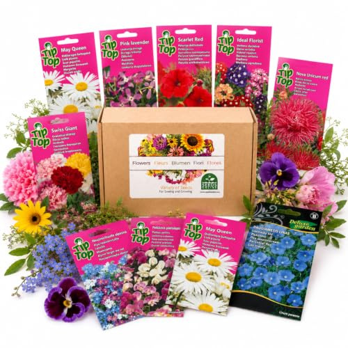 Nojus - Collezione di semi di fiori e prato da giardino - 30 varietà - Semi di fiori per bordure, vasi da balcone, giardini cottage e composizioni esterne colorate - Scatola di semi - 30 confezioni