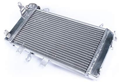 avdb-moto Radiador de Agua compatible con SUZUKI GLADIUS 650 SFV WVCX 2009-2016 Plata Racing de Recambio