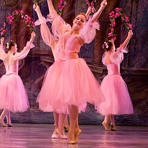 Classical Ballet Waltz Flowers Sound Greeting Card Any Occasion Really Wild Cards RWUK2006