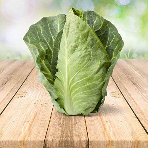 Chou Coeur de Boeuf 250 x graines - Du Portugal 100% Naturel Sans Aide à La Culture Chimique Ni Génie Génétique, Juste de la Nature Pure