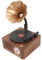 Vintage Plattenspieler Stereo-Lautsprecher mit Kupferhorn, Retro-Grammophon 5.0 FM-Radio für Home Office Mall