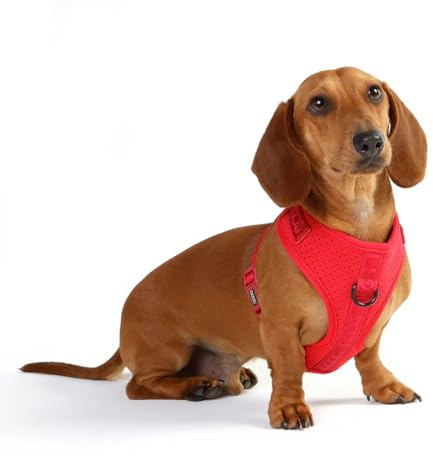 DOOG – Neoflex Hunde-Softgeschirr – Rot – Schnelltrocknend, wasserfreundlich und verstellbar für optimalen Sitz – Ideal für Strandspaziergänge und aktive Hunde im Freien – Größe M