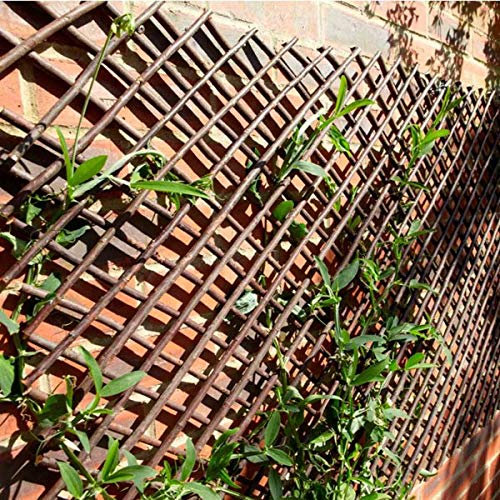 Foglish Extra Strong Expanding Willow Trellis Climbing Plant Support Tan/Brown 1.8m x 0.9m Willow