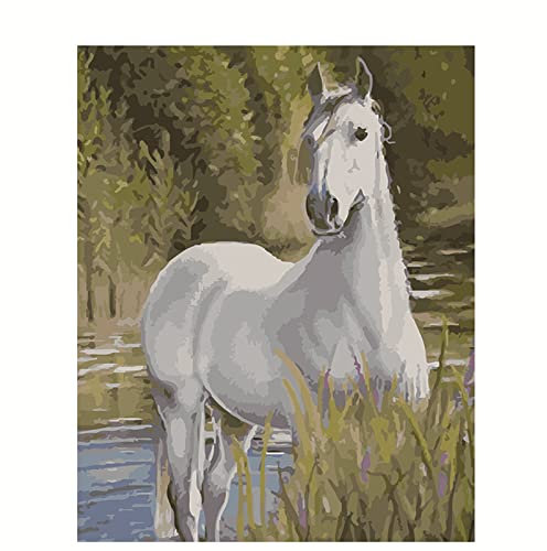 Malen Nach Zahlen Erwachsene Weißes Pferd DIY Handgemalt Ölgemälde Leinwand Kits für Erwachsene Kinder mit Pinseln Acrylpigment Zeichnung Paint by Numbers für Haus Wand Decor 50x65cm Mit Rahmen
