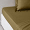 TODAY Essential Spannbettlaken, 160 x 200 cm, für Doppelbett, 100% Baumwolle, einfarbig, bronzefarben