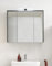 möbelando Leone Spiegelschrank Bad mit LED-Beleuchtung in Graphit - Badezimmerspiegel Schrank mit viel Stauraum - 80 x 70 x 20 cm (B/H/T)