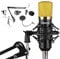 VONYX CMS400B Studio Condenser Microphone Kit with Adjustable Desk Boom Arm Stand, Pop Filter & XLR Cable for Podcasts, Music Recording & YouTube (Black/Gold)