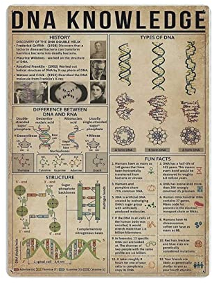 DNA Knowledge Metallblechschild Knowledge Poster Metallwandschild Vintage Wandkunst Dekor Kunstwerk Druck Geschenk für Zuhause Shop Büro Garten Garage Bar Outdoor 16x12