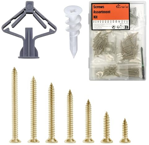 Suneke Dübel & Schrauben Sortiments-Set 170 Stück, 30 Kunststoff-Wanddübel & 140 M3,5mm Zink-Flachkopf-Schrauben mit Organizer-Box & 1 PH2#2 Langer Bit