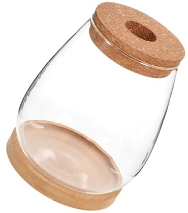 INOOMP Micro Landschaft Glasflasche Mit Deckel Und Bambus-tablett Hydroponischer Pflanztopf Für Farne Und Pflanzen Tischdekoration Für Wohnzimmer Küche Büro Und Balkon Leicht Und Platzspa