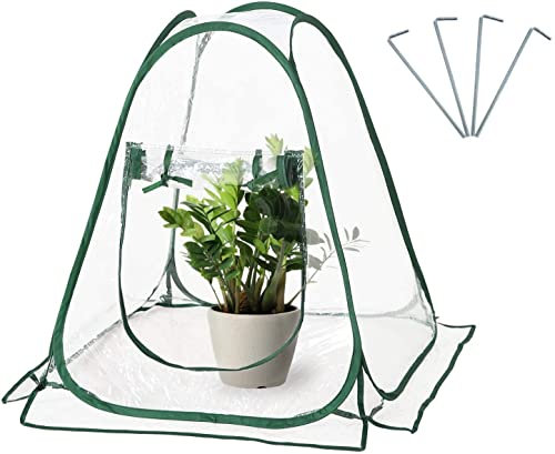Mini Invernadero Pop up Grow House, Mini Invernadero Portátil para Plantas de Jardín, Mini Invernadero de PVC Transparente para Interior, Exterior, Jardín, Flores, Plantas (70 * 70 * 80 cm)