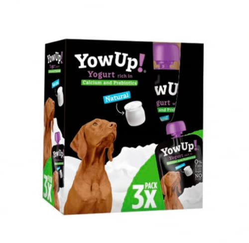 YowUp! YOWUP103