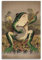 WebeRt Ein Frosch spielt Banjo im Mondlicht, Wanddekoration, kreatives Poster, Kunstmalerei, Heimbüro, Vintage-Druck, Poster, 20 x 30 cm, ungerahmt