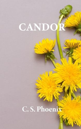 CANDOR: Healing the Trauma of Child Molestation, Sexual Abuse, and Rape (Carbon Copy, Band 3)