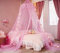Nattey Princess Bed Canopy Curtain Mosquito Net with Gold Star for Girls Kids Bedroom Decoration Fit for Twin Single Full Queen Size(Pink)