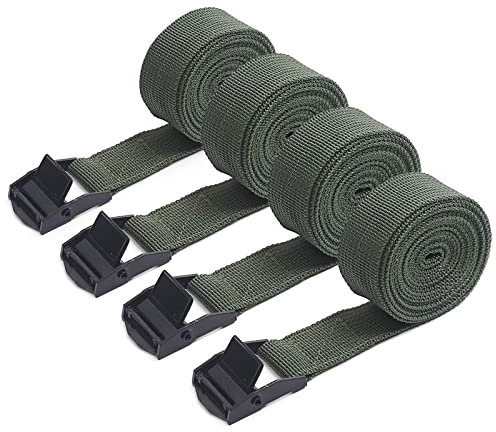 AYUEBO Spanngurt Zurrgurt Befestigungsgurt 4 Stück spanngurt spannbänder belastbar bis 200 kg 4er Pack verstellbare Gurtband für Fahrrad Sackkarre Motorrad Koffer Anhängerkupplung 2m grün
