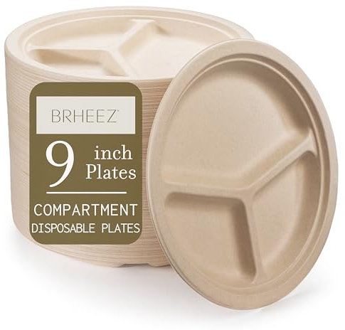 brheez Heavy Duty Compartment Disposable Plates 9 Inch 110 Plates Eco-Friendly 100% Plant Fiber Biodegradable Compostable Paper Plates Alternative - Natural