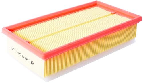 Castrol Filters CA0103 Air Filter