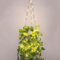 2 Pcs Artificial Hanging Plants with Hanging Plant Pot, Fake Ivy Vine Hanging Basket Hanging Plant Pots Indoor with 2pcs Strings Light Hanging Plant Pot for Wall Home Garden Office Boho Decor