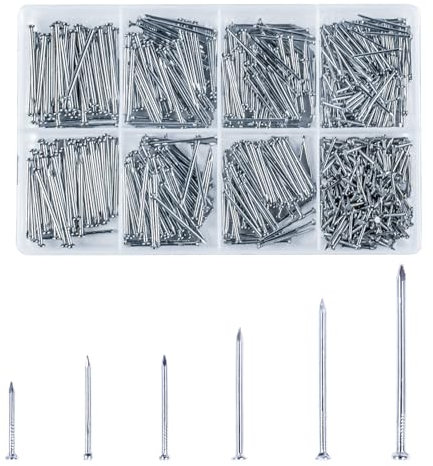 750 chiodi in muratura per chiodi per pareti in mattoni per appendere immagini, Kit assortimento di chiodi in acciaio per mattoni, Chiodi per quadri per pareti, Chiodi assortiti Chiodi in cemento