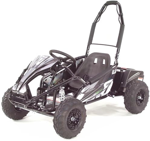 Elektro Buggy Kinder 1000W Quad Miniquad 48V ATV Kinderquad Pocketbike 55947