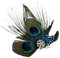 OHREN Pfau Kopfschmuck Haarspange, Pfau Haarschmuck, Feder Haarschmuck mit Strassbesatz, Pfauenfeder Haarreif, Karneval Kopfschmuck Damen, Pfau Kostüm für Carnival, Fancy Dress, Themenparty