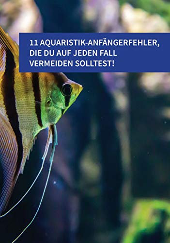 11 typische Aquaristik-Anfängerfehler: 11 AQUARISTIK-ANFÄNGERFEHLER, DIE DU AUF JEDEN FALL VERMEIDEN SOLLTEST!