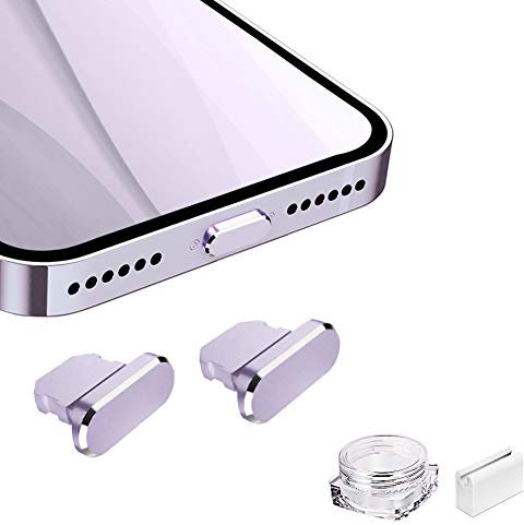 VIWIEU Metall-Anti-Staub-Stecker für iPhone 12 Mini Pro Max 11, iPad AirPods, Aluminium-Lightning-Ladeanschluss-Abdeckung, Handyanhänger, 7, 6 Plus mit Halterung und Box (Rosa)