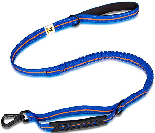 Elastic Dog Lead 4 Foot (120 cm) Blue-Orange with Shock Absorber